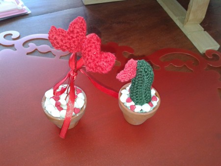 piantine crochet e vaso in cotto - Floriana